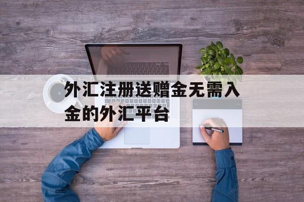 外汇注册送赠金无需入金的外汇平台