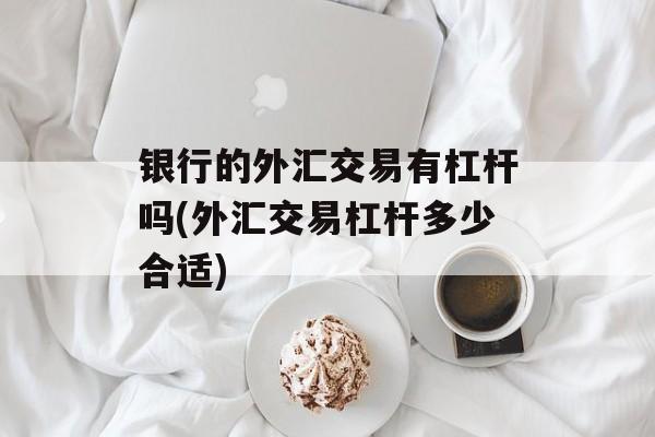 银行的外汇交易有杠杆吗(外汇交易杠杆多少合适)