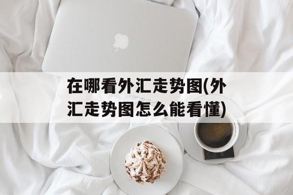 在哪看外汇走势图(外汇走势图怎么能看懂)