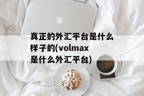 真正的外汇平台是什么样子的(volmax是什么外汇平台)