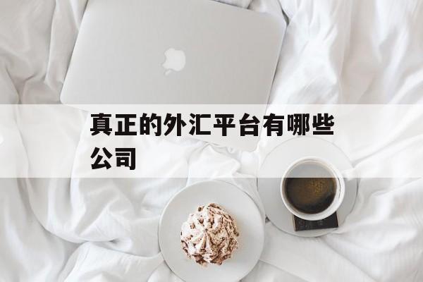 真正的外汇平台有哪些公司