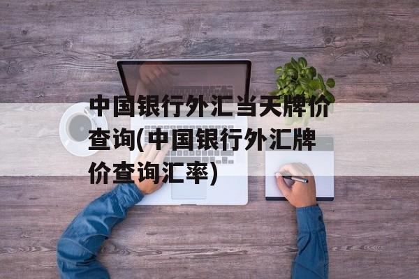 中国银行外汇当天牌价查询(中国银行外汇牌价查询汇率)