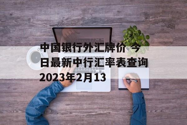 中国银行外汇牌价 今日最新中行汇率表查询2023年2月13