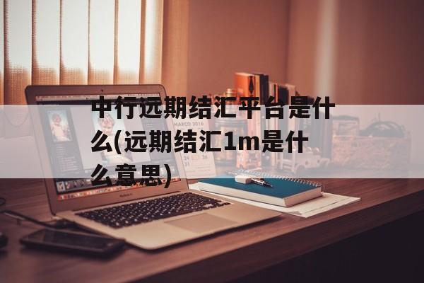 中行远期结汇平台是什么(远期结汇1m是什么意思)