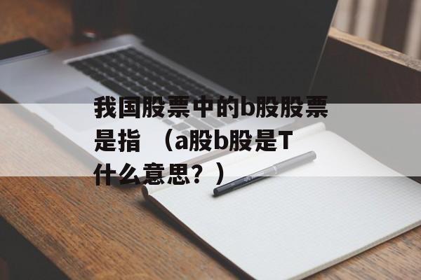 我国股票中的b股股票是指 （a股b股是T什么意思？）