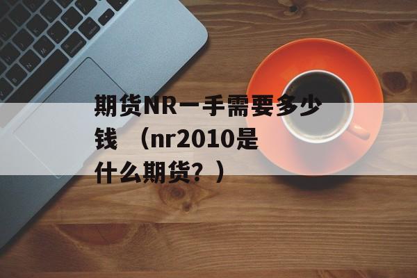 期货NR一手需要多少钱 （nr2010是什么期货？）