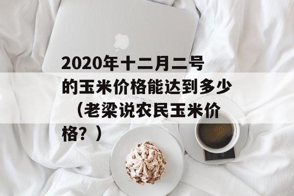 2020年十二月二号的玉米价格能达到多少 （老梁说农民玉米价格？）