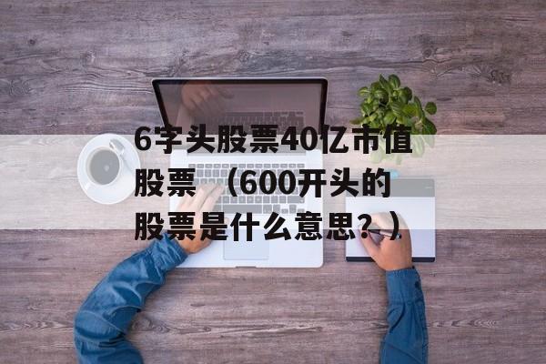 6字头股票40亿市值股票 （600开头的股票是什么意思？）