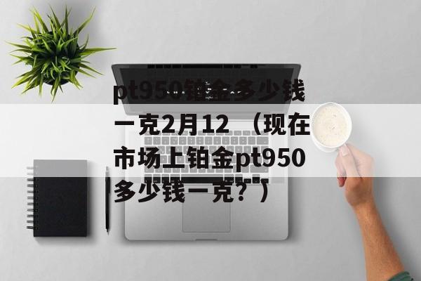 pt950铂金多少钱一克2月12 （现在市场上铂金pt950多少钱一克？）