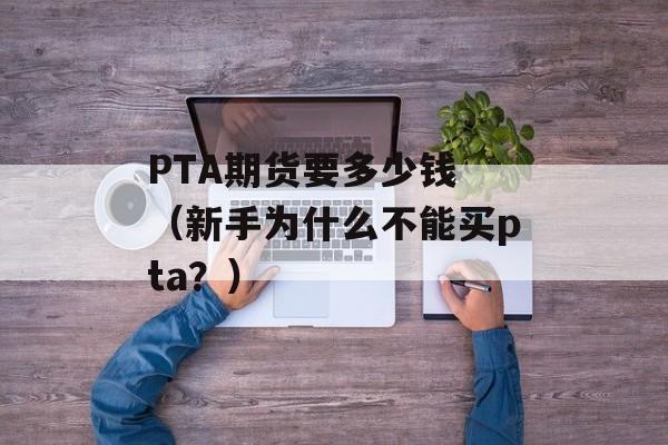 PTA期货要多少钱 （新手为什么不能买pta？）