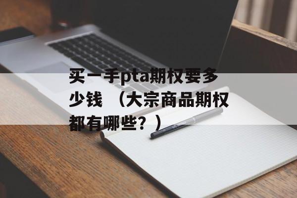 买一手pta期权要多少钱 （大宗商品期权都有哪些？）