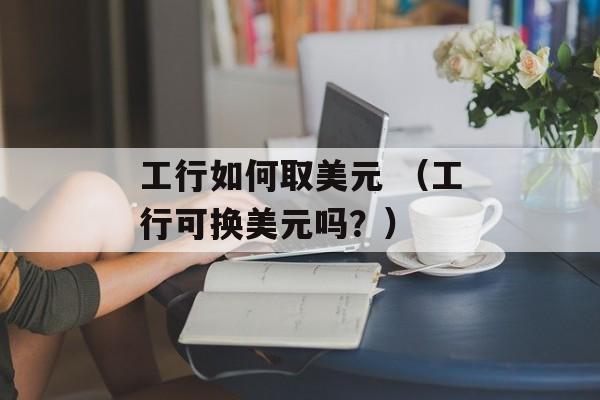 工行如何取美元 （工行可换美元吗？）