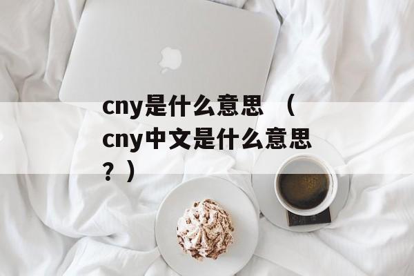 cny是什么意思 （cny中文是什么意思？）