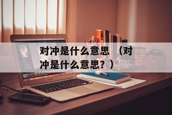 对冲是什么意思 （对冲是什么意思？）