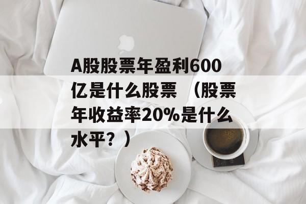 A股股票年盈利600亿是什么股票 （股票年收益率20%是什么水平？）