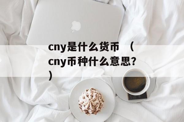 cny是什么货币 （cny币种什么意思？）