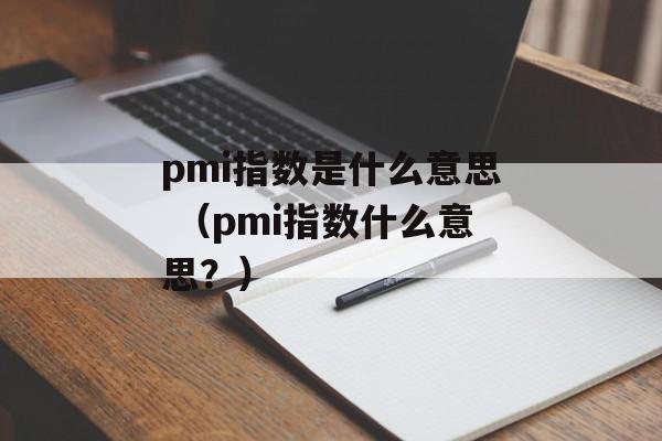 pmi指数是什么意思 （pmi指数什么意思？）