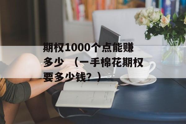 期权1000个点能赚多少 （一手棉花期权要多少钱？）
