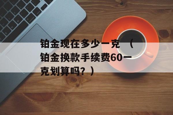 铂金现在多少一克 （铂金换款手续费60一克划算吗？）