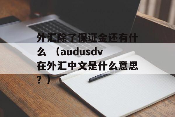 外汇除了保证金还有什么 （audusdv在外汇中文是什么意思？）