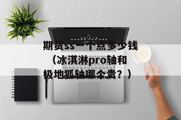 期货ss一个点多少钱 （冰淇淋pro轴和极地狐轴哪个贵？）
