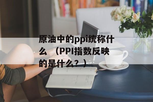 原油中的ppi统称什么 （PPI指数反映的是什么？）