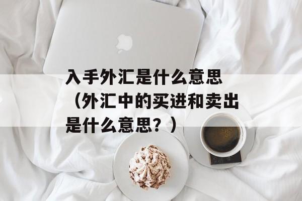 入手外汇是什么意思 （外汇中的买进和卖出是什么意思？）