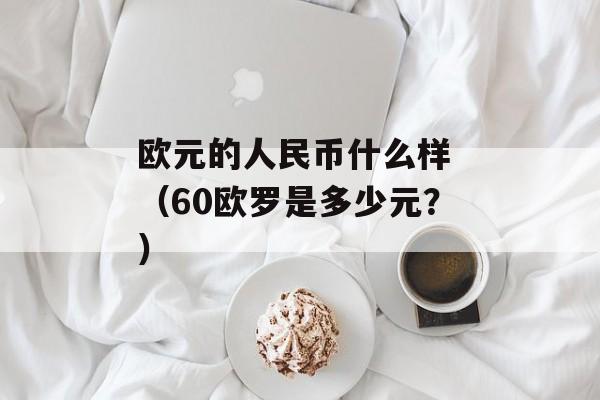 欧元的人民币什么样 （60欧罗是多少元？）