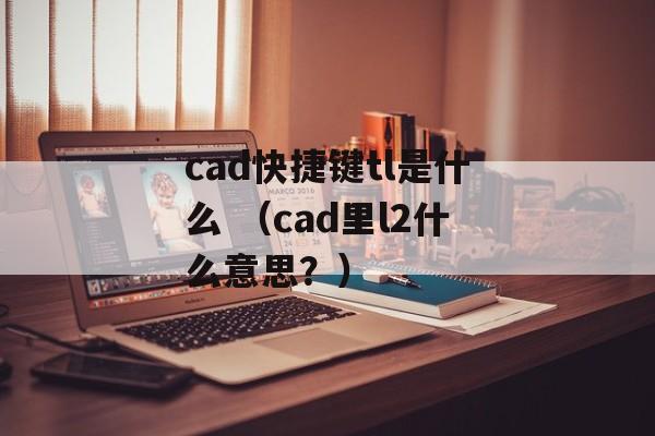 cad快捷键tl是什么 （cad里l2什么意思？）