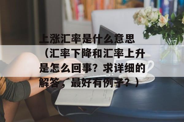 上涨汇率是什么意思 （汇率下降和汇率上升是怎么回事？求详细的解答，最好有例子？）