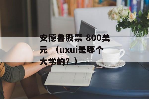 安德鲁股票 800美元 （uxui是哪个大学的？）