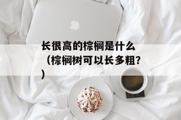 长很高的棕榈是什么 （棕榈树可以长多粗？）