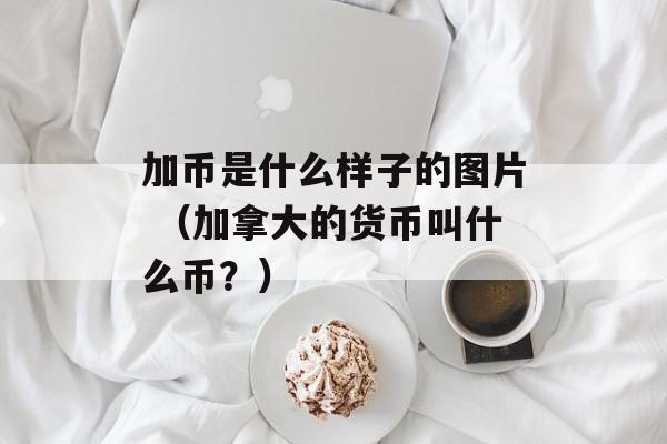 加币是什么样子的图片 （加拿大的货币叫什么币？）