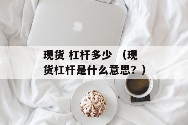 现货 杠杆多少 （现货杠杆是什么意思？）