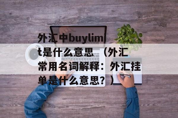 外汇中buylimit是什么意思 （外汇常用名词解释：外汇挂单是什么意思？）