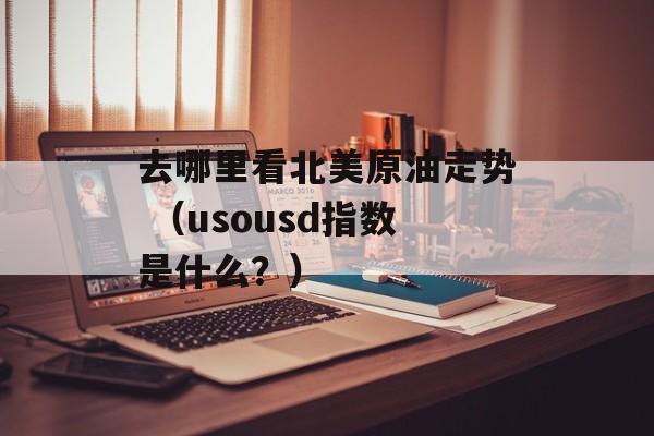 去哪里看北美原油走势 （usousd指数是什么？）