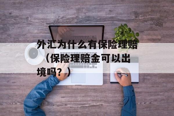 外汇为什么有保险理赔 （保险理赔金可以出境吗？）