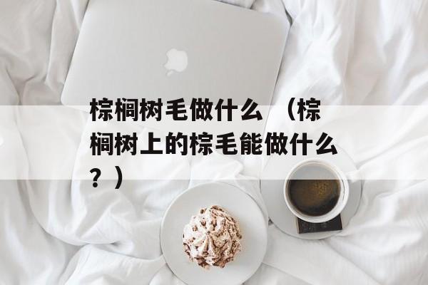 棕榈树毛做什么 （棕榈树上的棕毛能做什么？）