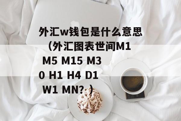 外汇w钱包是什么意思 （外汇图表世间M1 M5 M15 M30 H1 H4 D1 W1 MN？）