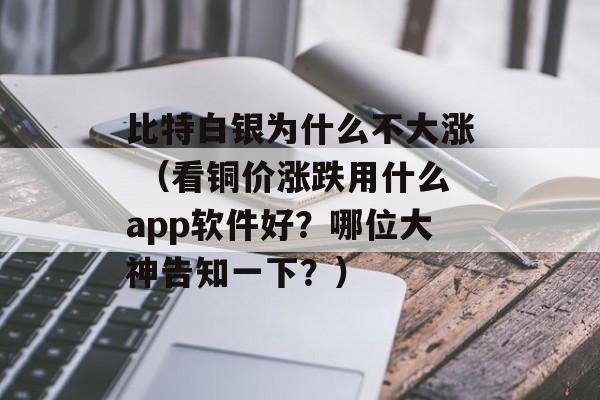 比特白银为什么不大涨 （看铜价涨跌用什么app软件好？哪位大神告知一下？）