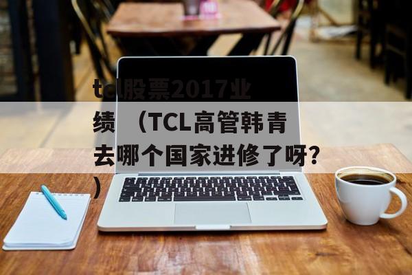 tcl股票2017业绩 （TCL高管韩青去哪个国家进修了呀？）