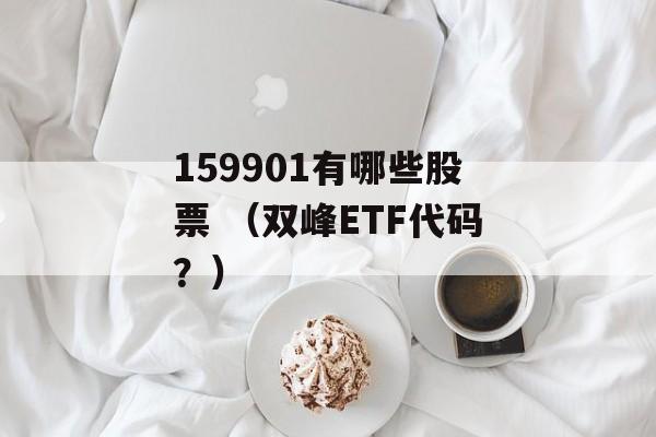 159901有哪些股票 （双峰ETF代码？）