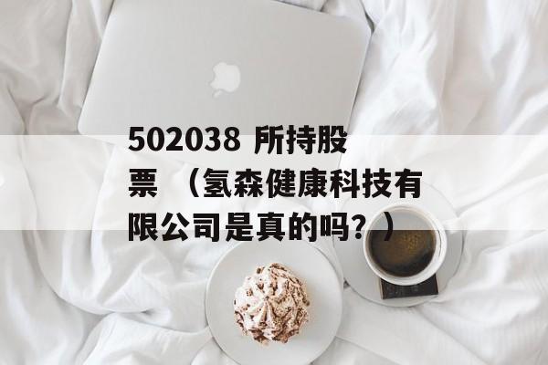 502038 所持股票 （氢森健康科技有限公司是真的吗？）