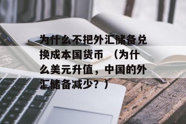 为什么不把外汇储备兑换成本国货币 （为什么美元升值，中国的外汇储备减少？）