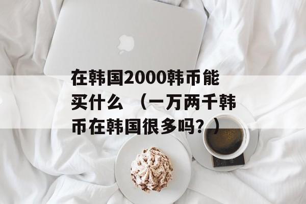 在韩国2000韩币能买什么 （一万两千韩币在韩国很多吗？）