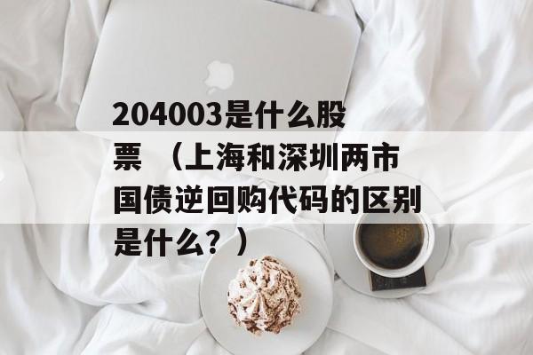 204003是什么股票 （上海和深圳两市国债逆回购代码的区别是什么？）