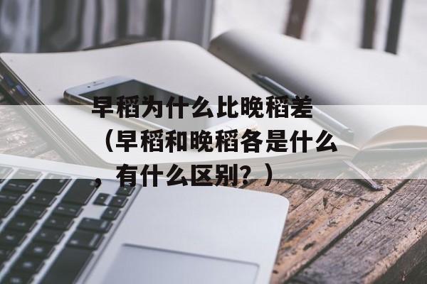 早稻为什么比晚稻差 （早稻和晚稻各是什么，有什么区别？）