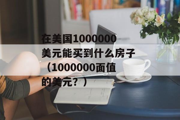 在美国1000000美元能买到什么房子 （1000000面值的美元？）