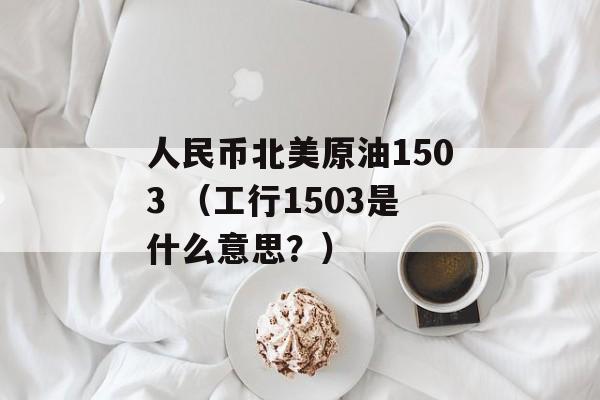 人民币北美原油1503 （工行1503是什么意思？）