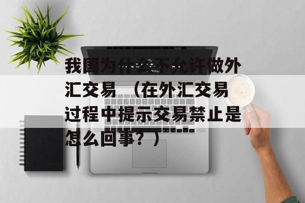 我国为什么不允许做外汇交易 （在外汇交易过程中提示交易禁止是怎么回事？）